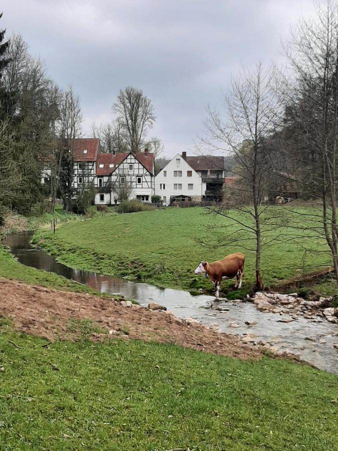 ヴァルデックHaus An Der Werbeアパートメント エクステリア 写真